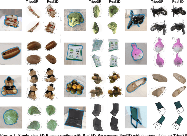 Figure 1 for Real3D: Scaling Up Large Reconstruction Models with Real-World Images