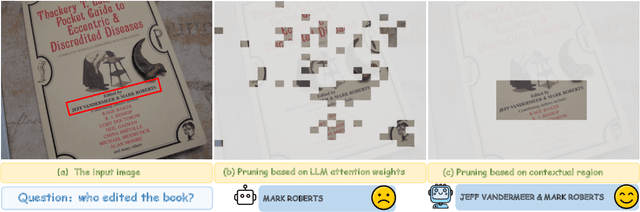 Figure 1 for CROP: Contextual Region-Oriented Visual Token Pruning