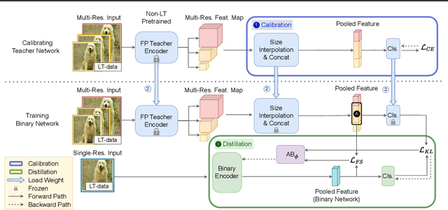 Figure 1 for Long-Tailed Recognition on Binary Networks by Calibrating A Pre-trained Model