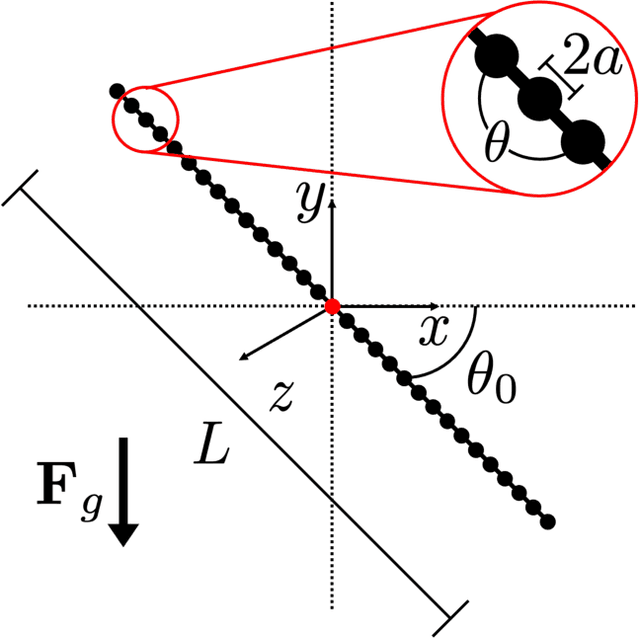 Figure 1 for Data-driven low-dimensional model of a sedimenting flexible fiber