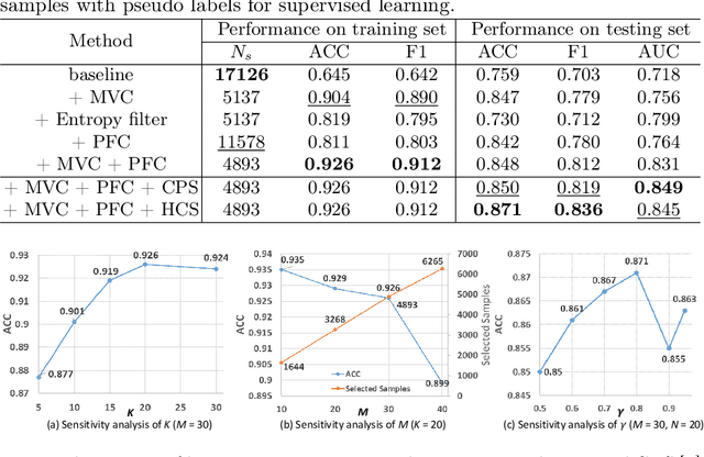 Figure 2 for VLM-CPL: Consensus Pseudo Labels from Vision-Language Models for Human Annotation-Free Pathological Image Classification