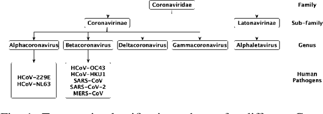 Figure 1 for PCD2Vec: A Poisson Correction Distance-Based Approach for Viral Host Classification