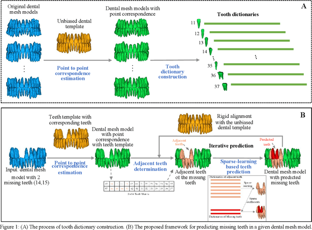 Figure 1 for Accurate 3D Prediction of Missing Teeth in Diverse Patterns for Precise Dental Implant Planning