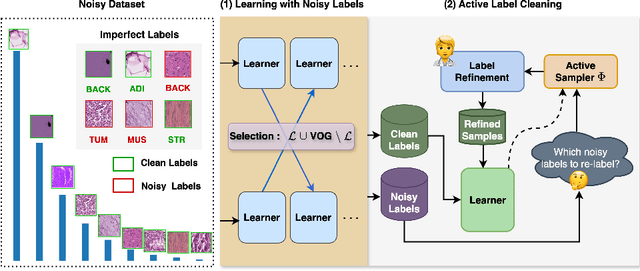 Figure 1 for Active Label Refinement for Robust Training of Imbalanced Medical Image Classification Tasks in the Presence of High Label Noise