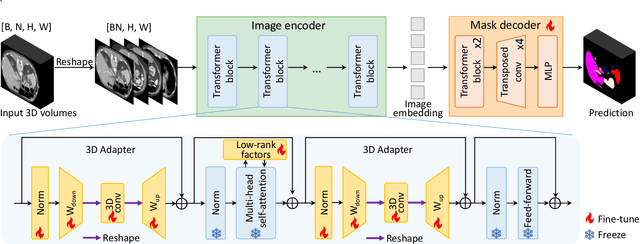 Figure 1 for MA-SAM: Modality-agnostic SAM Adaptation for 3D Medical Image Segmentation