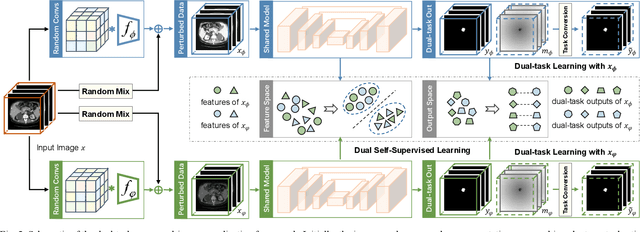 Figure 2 for A Dual-Task Synergy-Driven Generalization Framework for Pancreatic Cancer Segmentation in CT Scans
