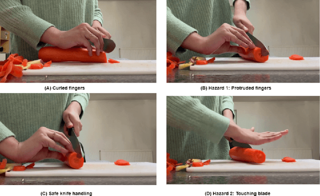 Figure 1 for A Comparative Analysis of YOLOv5, YOLOv8, and YOLOv10 in Kitchen Safety