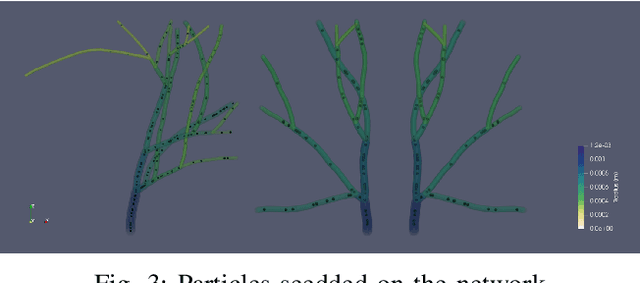 Figure 3 for BUbble Flow Field: a Simulation Framework for Evaluating Ultrasound Localization Microscopy Algorithms