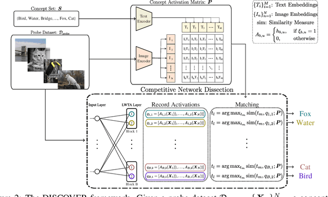 Figure 3 for DISCOVER: Making Vision Networks Interpretable via Competition and Dissection