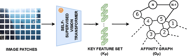 Figure 2 for DatUS^2: Data-driven Unsupervised Semantic Segmentation with Pre-trained Self-supervised Vision Transformer