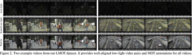 Figure 3 for Multi-Object Tracking in the Dark