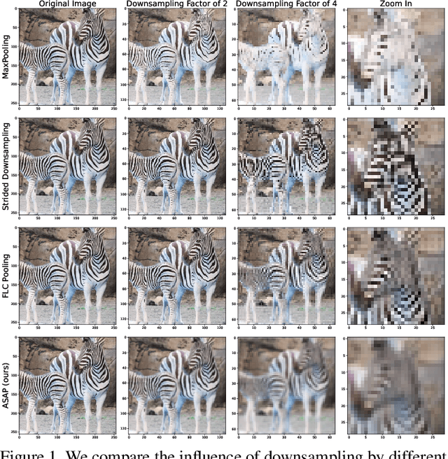 Figure 1 for Fix your downsampling ASAP! Be natively more robust via Aliasing and Spectral Artifact free Pooling