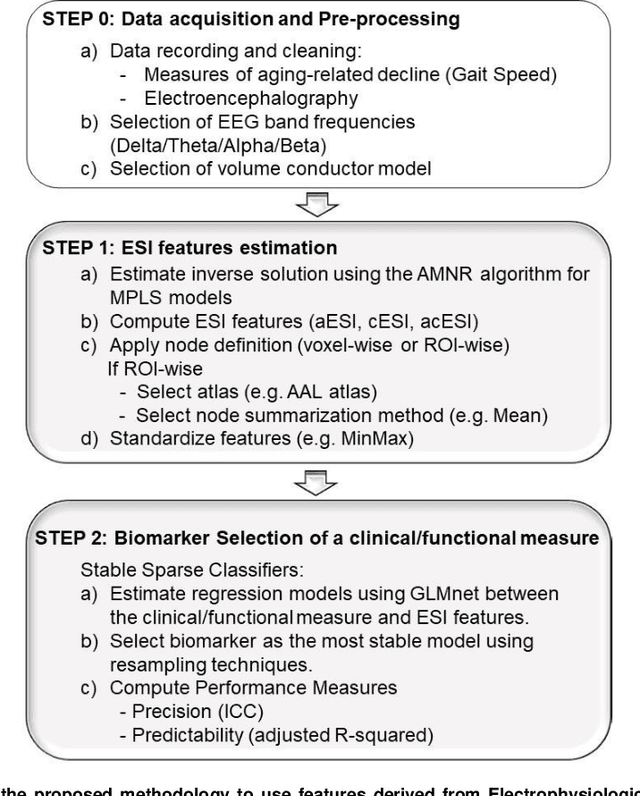 Figure 1 for Predicting aging-related decline in physical performance with sparse electrophysiological source imaging