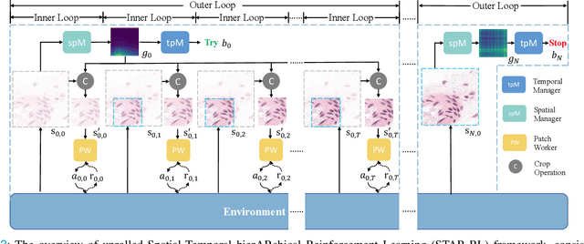 Figure 3 for Spatial-temporal Hierarchical Reinforcement Learning for Interpretable Pathology Image Super-Resolution