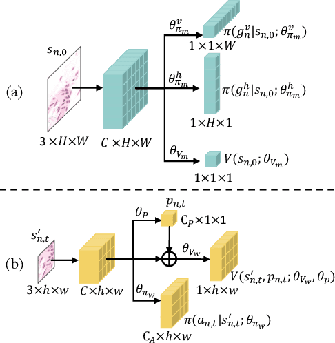 Figure 4 for Spatial-temporal Hierarchical Reinforcement Learning for Interpretable Pathology Image Super-Resolution