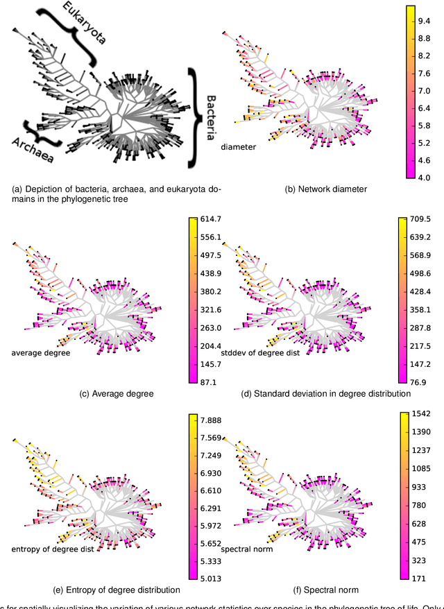 Figure 1 for Bridging Phylogeny and Taxonomy with Protein-protein Interaction Networks