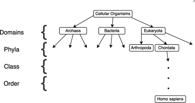 Figure 4 for Bridging Phylogeny and Taxonomy with Protein-protein Interaction Networks