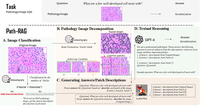 Figure 1 for Path-RAG: Knowledge-Guided Key Region Retrieval for Open-ended Pathology Visual Question Answering