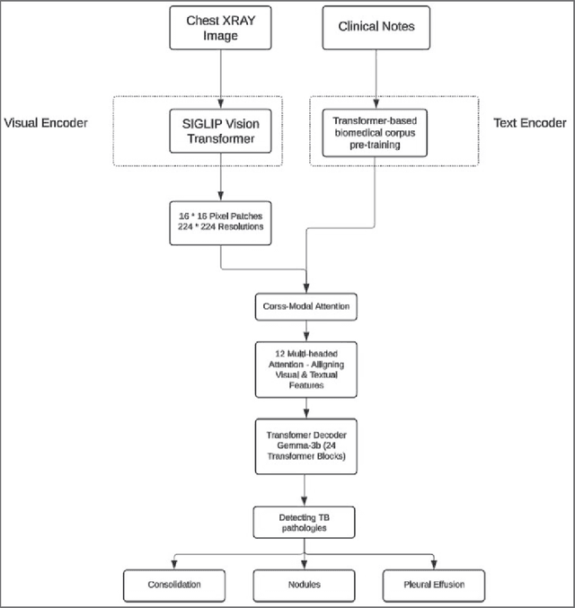 Figure 1 for Vision-Language Models for Acute Tuberculosis Diagnosis: A Multimodal Approach Combining Imaging and Clinical Data