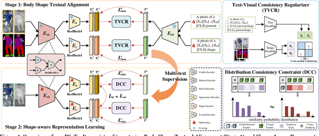 Figure 1 for ShapeSpeak: Body Shape-Aware Textual Alignment for Visible-Infrared Person Re-Identification