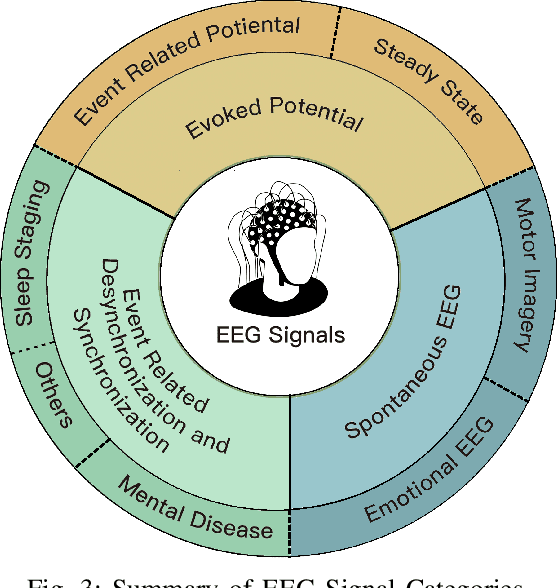 Figure 3 for Interpretable and Robust AI in EEG Systems: A Survey