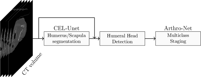 Figure 1 for Cascade learning in multi-task encoder-decoder networks for concurrent bone segmentation and glenohumeral joint assessment in shoulder CT scans