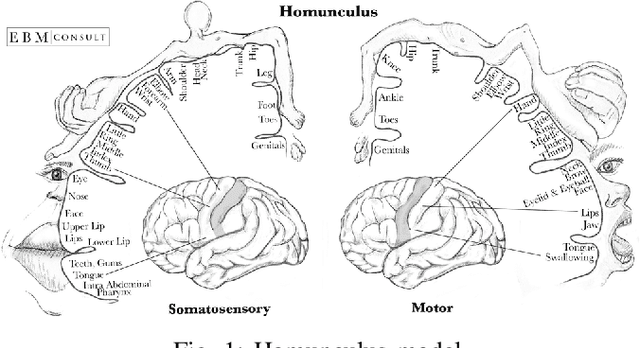 Figure 1 for Decoding Brain Motor Imagery with various Machine Learning techniques