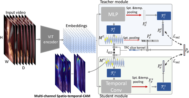 Figure 3 for Disentangling spatio-temporal knowledge for weakly supervised object detection and segmentation in surgical video