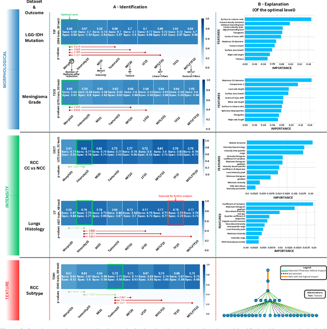 Figure 3 for Unraveling Radiomics Complexity: Strategies for Optimal Simplicity in Predictive Modeling