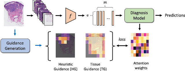 Figure 3 for Semantics-Aware Attention Guidance for Diagnosing Whole Slide Images