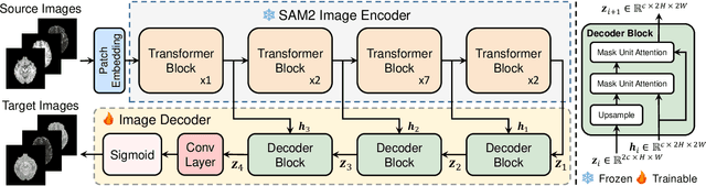 Figure 1 for SAM-I2I: Unleash the Power of Segment Anything Model for Medical Image Translation