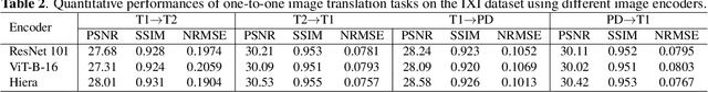 Figure 3 for SAM-I2I: Unleash the Power of Segment Anything Model for Medical Image Translation