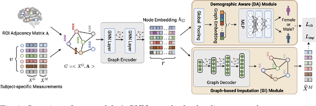 Figure 3 for Imputing Brain Measurements Across Data Sets via Graph Neural Networks