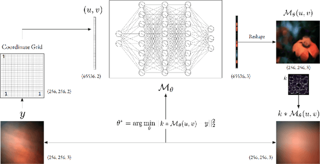 Figure 1 for Towards Lensless Image Deblurring with Prior-Embedded Implicit Neural Representations in the Low-Data Regime