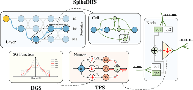 Figure 1 for Spatial-Temporal Search for Spiking Neural Networks