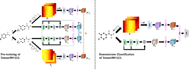 Figure 1 for Tensor-Fused Multi-View Graph Contrastive Learning