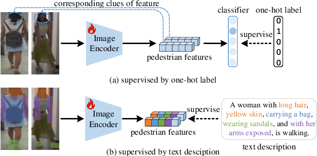 Figure 1 for CLIP-Driven Cloth-Agnostic Feature Learning for Cloth-Changing Person Re-Identification