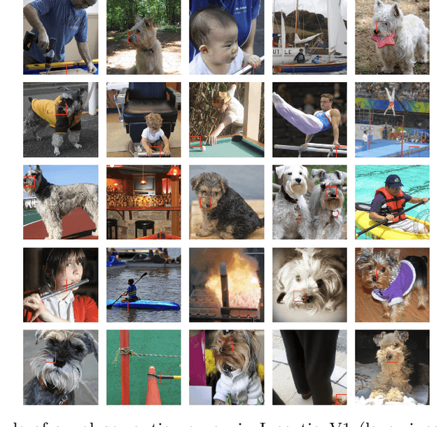 Figure 1 for Interpreting Neural Networks through the Polytope Lens