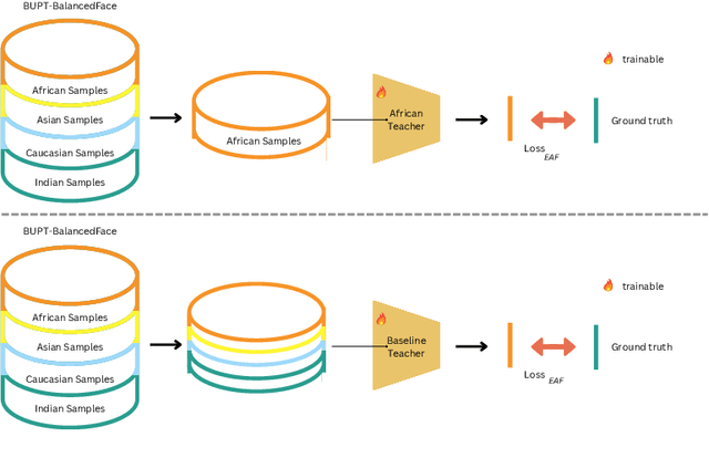 Figure 1 for MST-KD: Multiple Specialized Teachers Knowledge Distillation for Fair Face Recognition