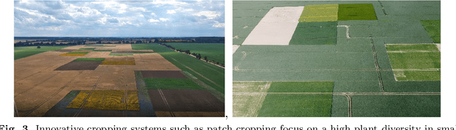 Figure 3 for Data-Centric Digital Agriculture: A Perspective