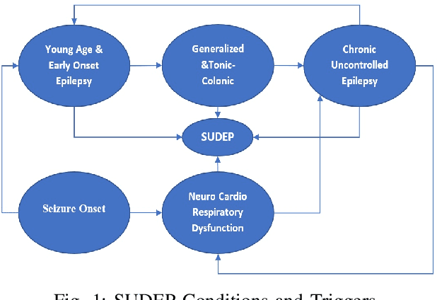 Figure 1 for Epilepsy Seizure Detection: Anatomy and Analysis