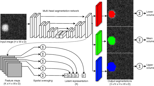 Figure 1 for Robust Conformal Volume Estimation in 3D Medical Images