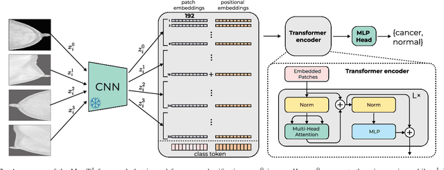 Figure 2 for MamT$^4$: Multi-view Attention Networks for Mammography Cancer Classification