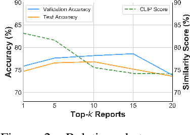 Figure 3 for MMed-RAG: Versatile Multimodal RAG System for Medical Vision Language Models
