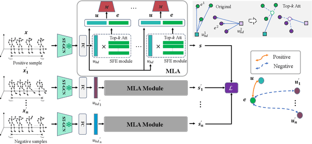 Figure 3 for An Information Compensation Framework for Zero-Shot Skeleton-based Action Recognition