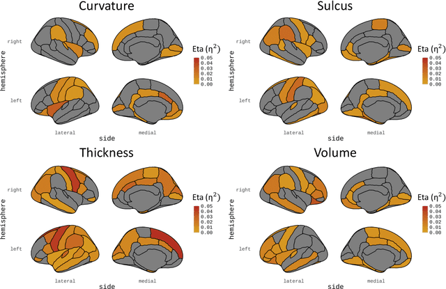 Figure 2 for Self-Supervised Masked Mesh Learning for Unsupervised Anomaly Detection on 3D Cortical Surfaces