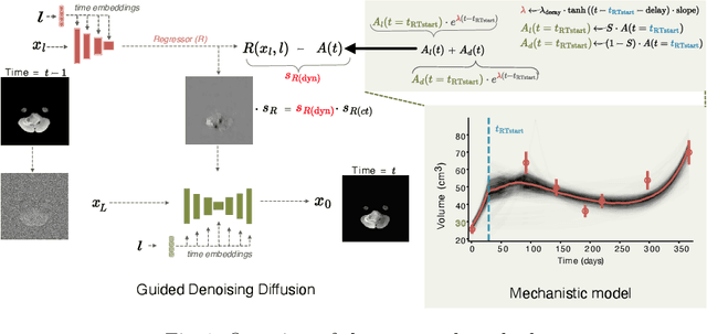 Figure 1 for Mechanistic Learning with Guided Diffusion Models to Predict Spatio-Temporal Brain Tumor Growth