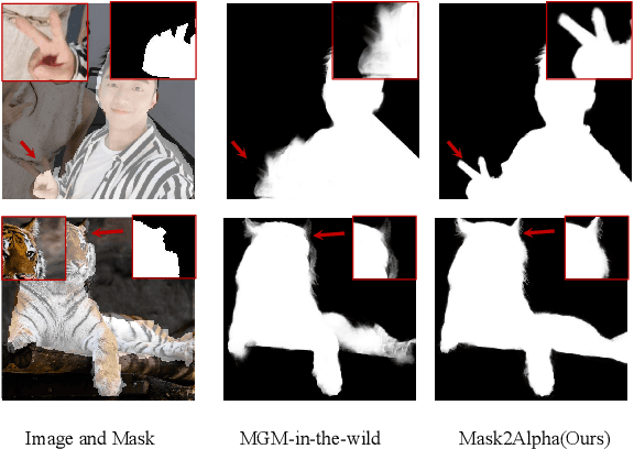 Figure 1 for Enhancing Image Matting in Real-World Scenes with Mask-Guided Iterative Refinement