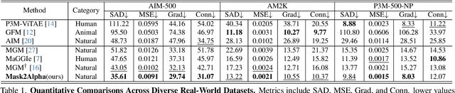 Figure 2 for Enhancing Image Matting in Real-World Scenes with Mask-Guided Iterative Refinement