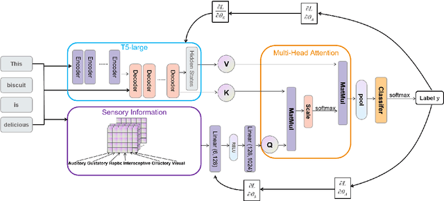 Figure 1 for SensoryT5: Infusing Sensorimotor Norms into T5 for Enhanced Fine-grained Emotion Classification